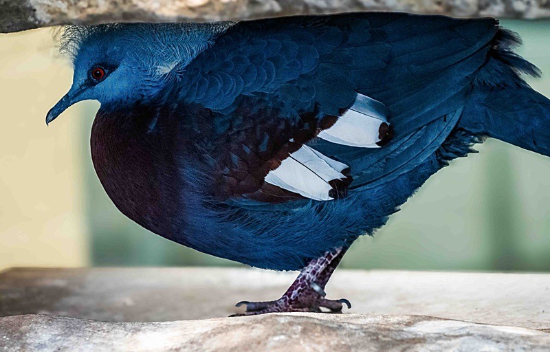  - Wildlife Photography