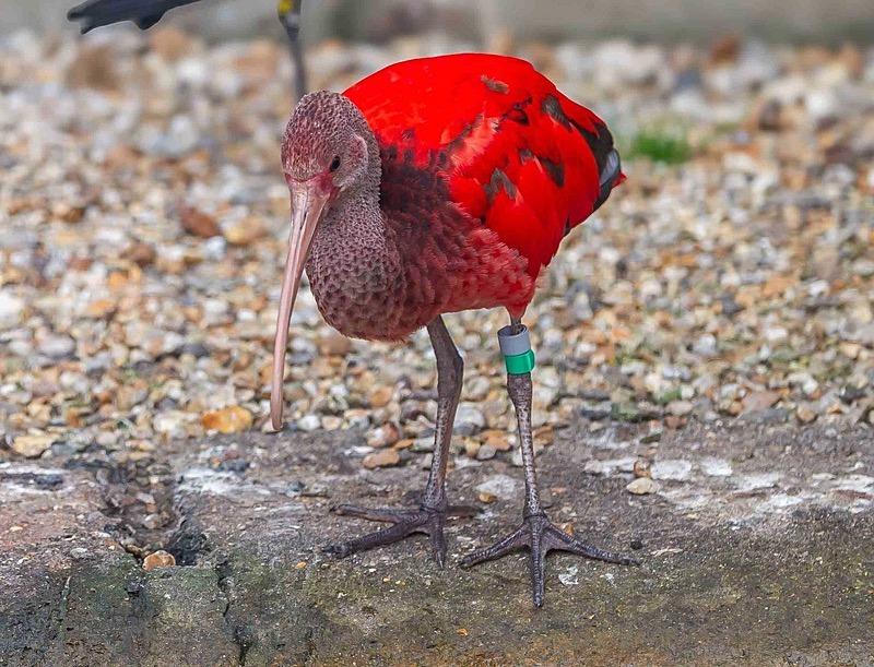  - Wildlife Photography