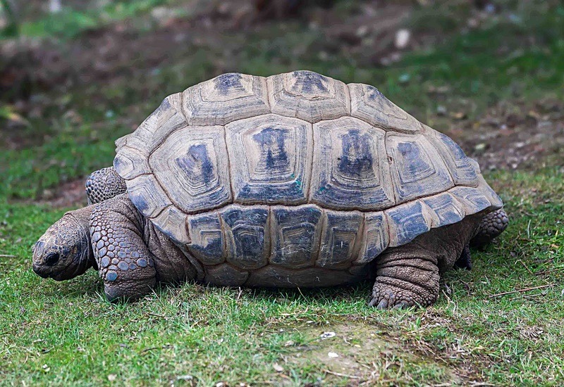  - Wildlife Photography