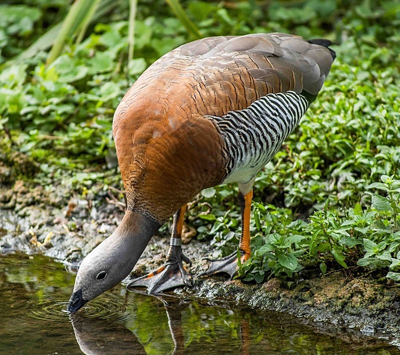  - Wildlife Photography