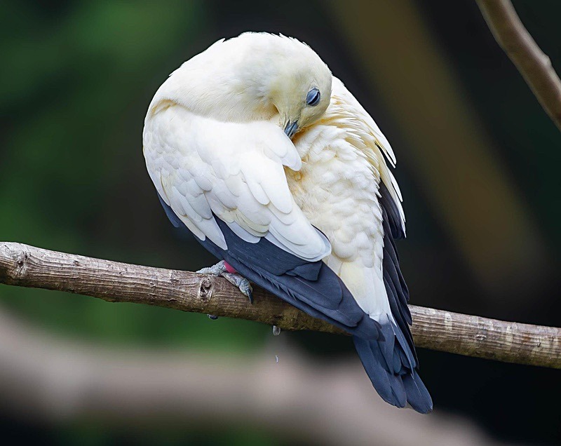  - Wildlife Photography