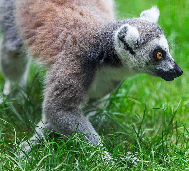  - Wildlife Photography