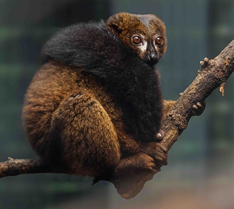  - Wildlife Photography