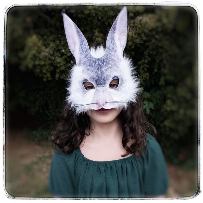 Bea - chief stick collector - Members