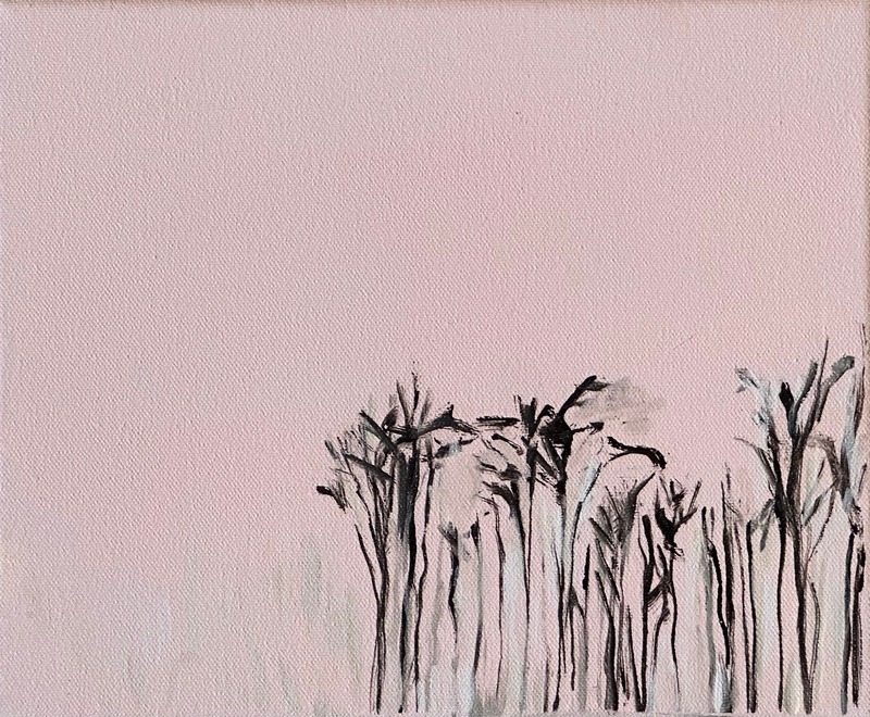  - The Postcard