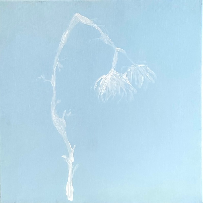  - Blue