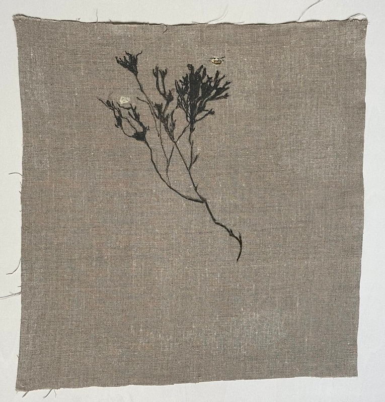  - Seaweed