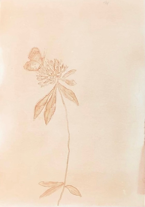  - Ephemeral
