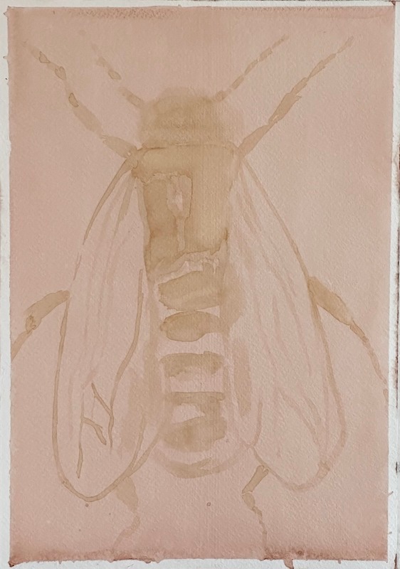 Ephemeral, 21 x 29cm - Ephemeral