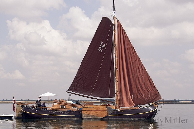 _DSC9288 - OGA East Coast Race 2018