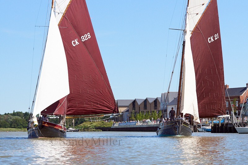 _DSC3808 - Rowhedge Regatta 2019