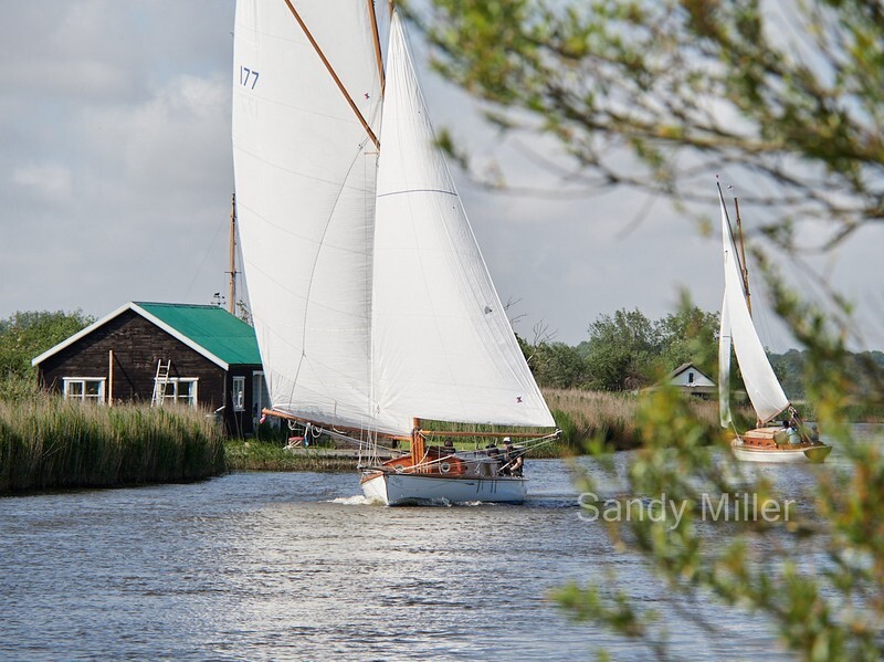 _1012410 - Three Rivers Race 2023