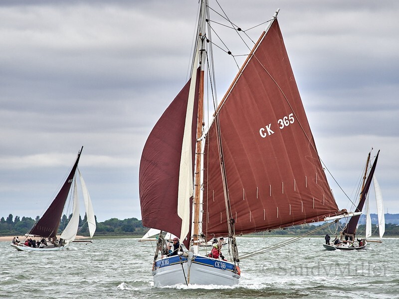 _1010516 - OGA East Coast Race 5 July 2025