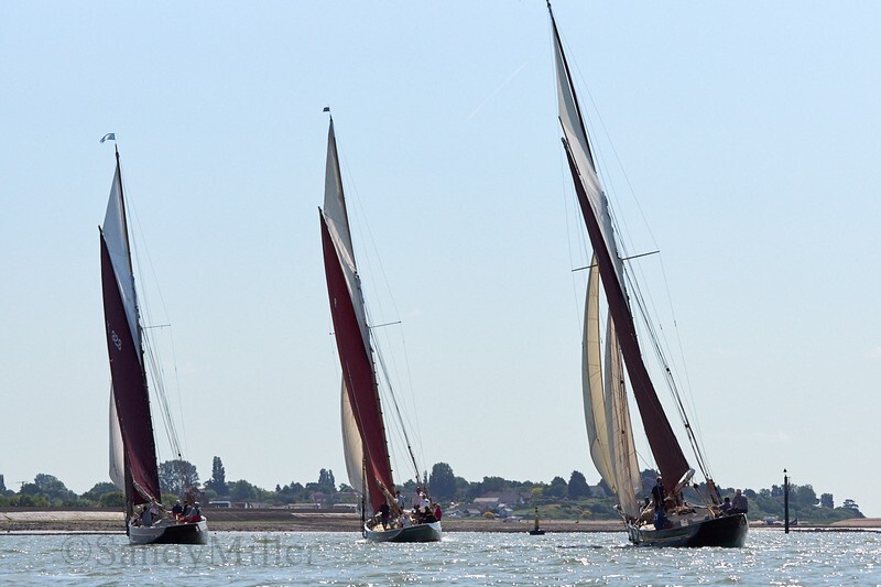 _DSC3712 - Rowhedge Regatta 2019