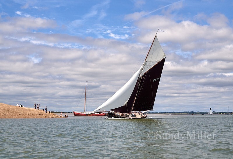 _1010025 - Rowhedge Regatta 2026