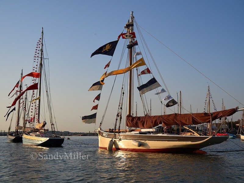 _1010023 - Essex Heritage Workboats at Mersea