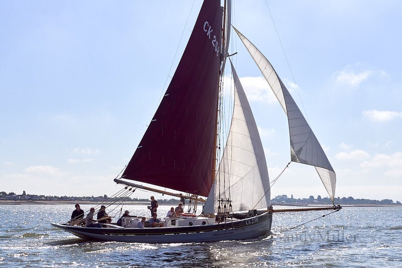 _DSC4387 - Rowhedge Regatta 2018