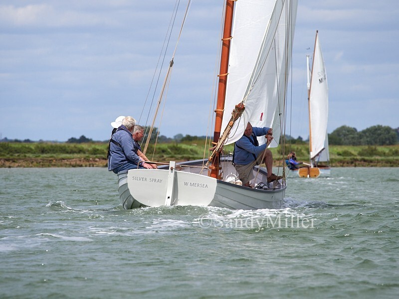 _1017152 - MFOBS River Race 13 June West Mersea