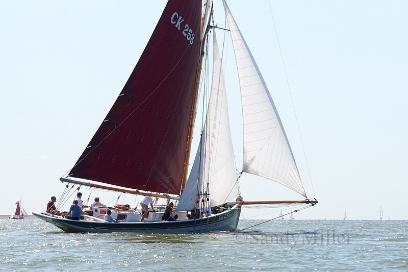 _DSC3713 - Rowhedge Regatta 2019