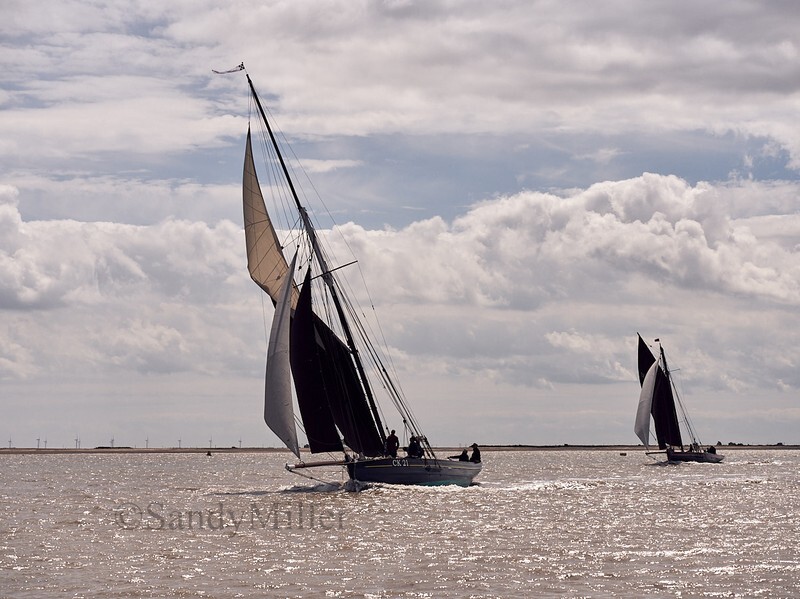 _1019855 - Wivenhoe Regatta 2022