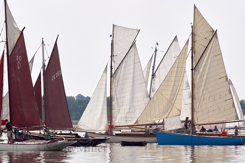 _DSC5844 - OGA East Coast Race 2018