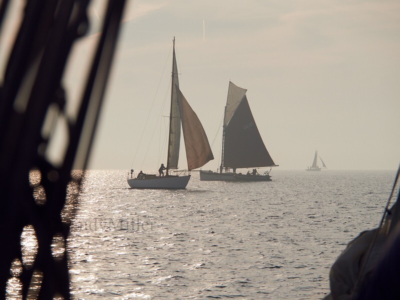 _9167430 - Maldon Regatta 2023