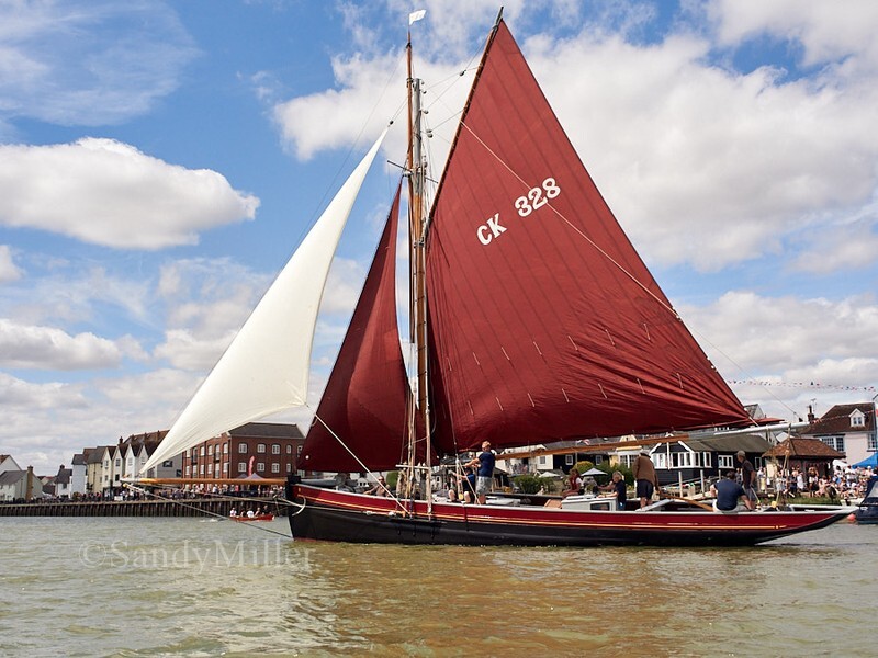 _1010023 - Wivenhoe Regatta 2026