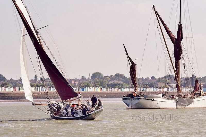 _DSC4353 - Rowhedge Regatta 2018