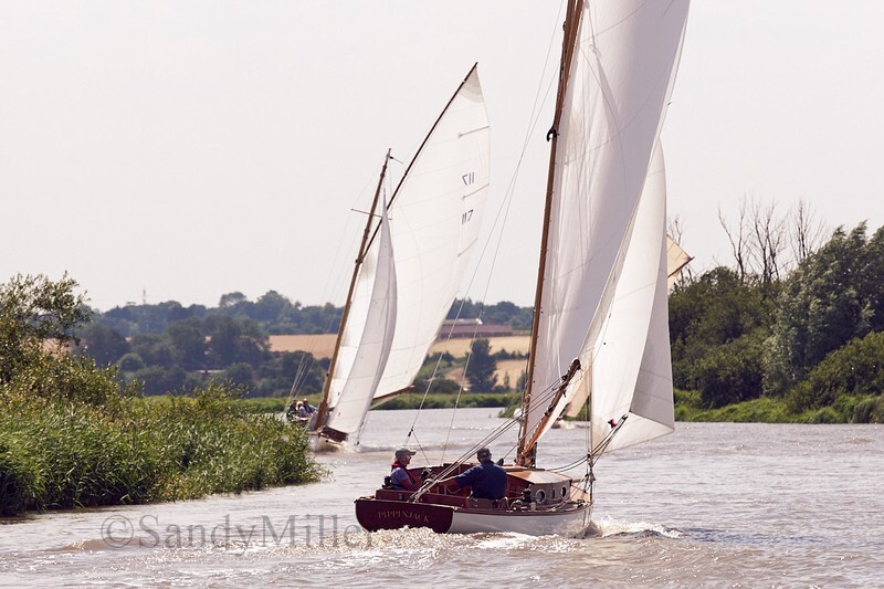 _DSC5746 - YSC Cantley Regatta 2018