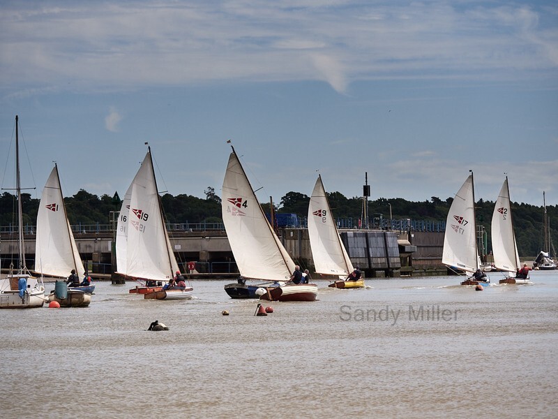 _1019955  - Wivenhoe Regatta 2022