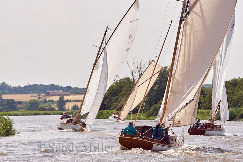_DSC5751 - YSC Cantley Regatta 2018