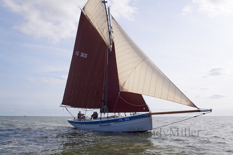 _DSC7421 - Colne Match 2020