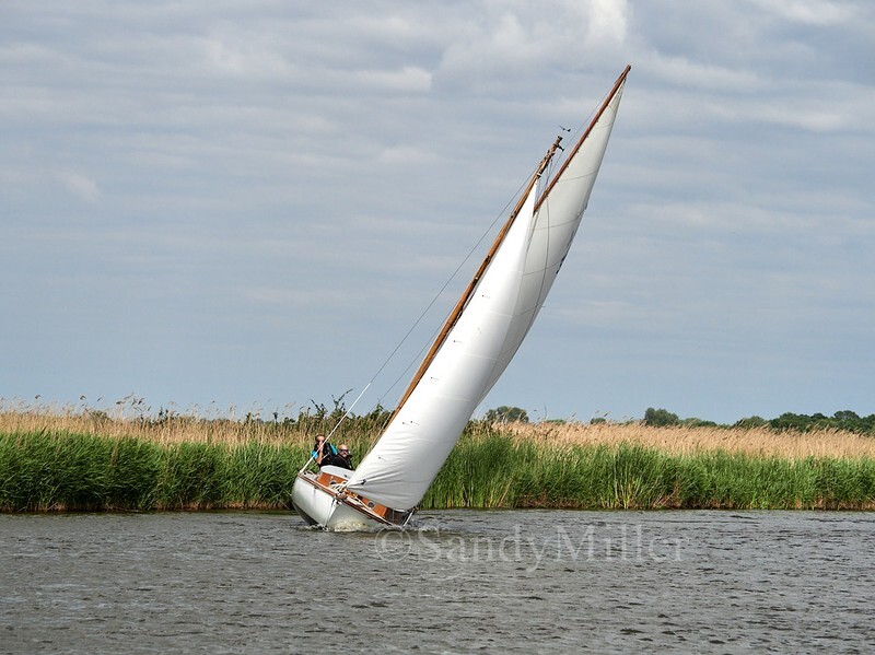 _1018611 - TMOR 2025