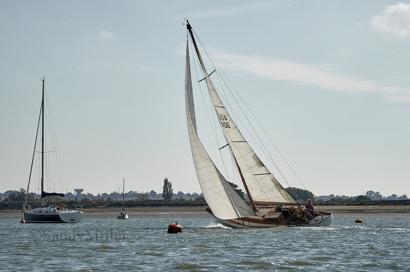 _1014069 - Maldon Regatta 2025