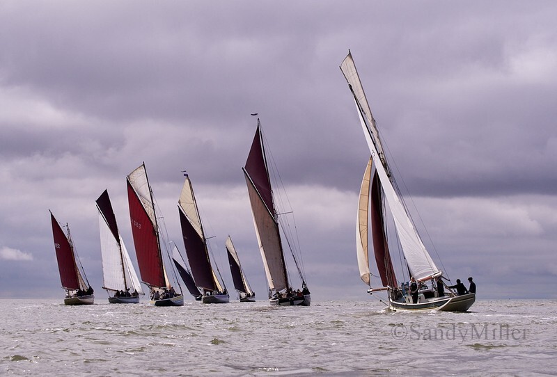 _6223783  - Wivenhoe Regatta 2024