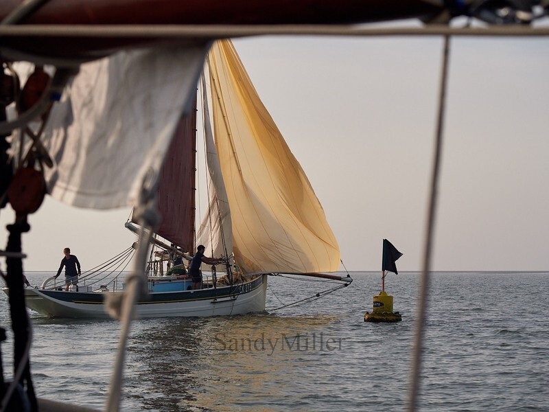 _9167481 - Maldon Regatta 2023
