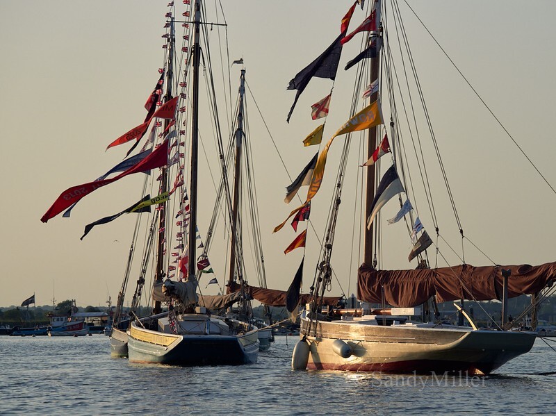 _1015978 - Essex Heritage Workboats at Mersea