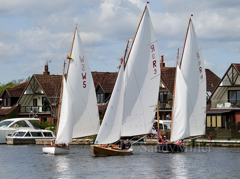 _1019035 - 3 Rivers Race 2025