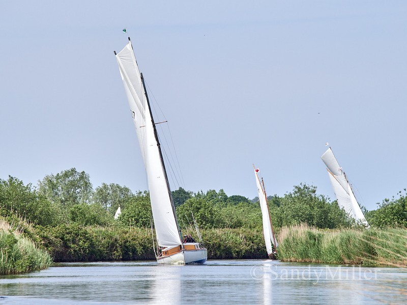 _1016278 - 3 Rivers Race 2026
