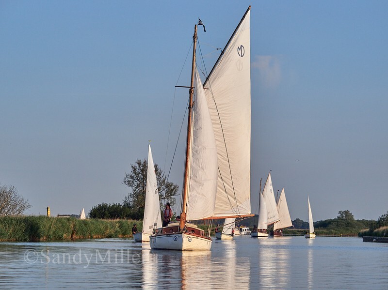 _1016536 - 3 Rivers Race 2026