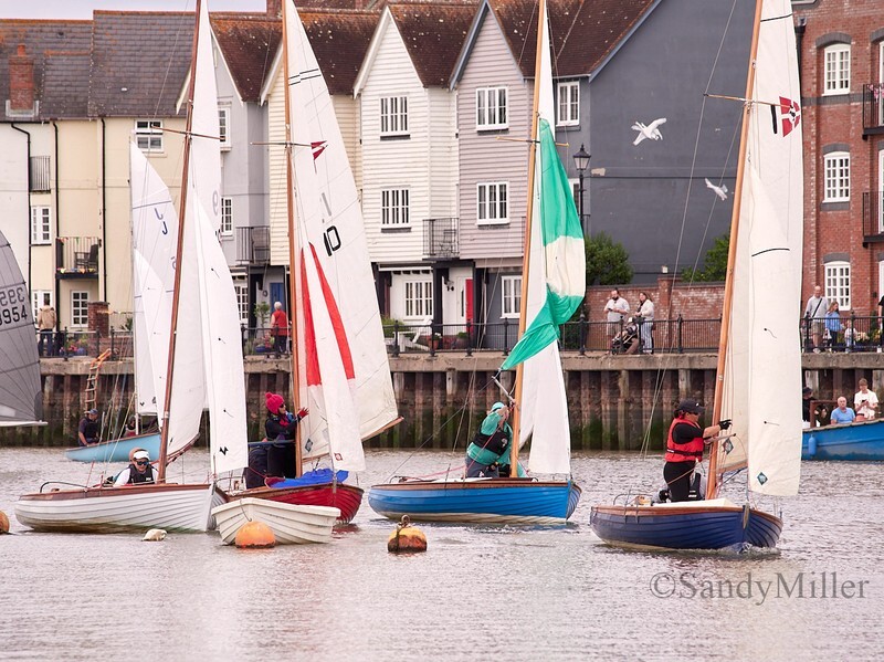 _6223821  - Wivenhoe Regatta 2024
