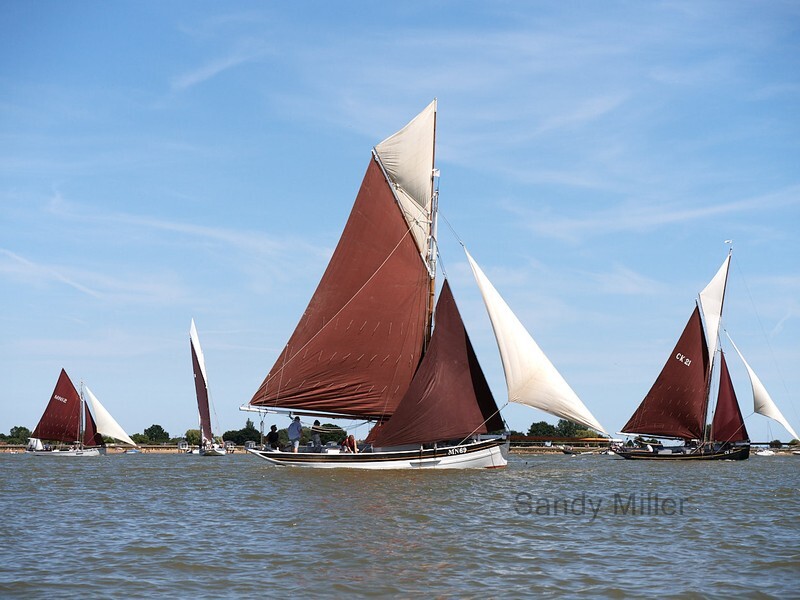 _1020459  - Heybridge Regatta 2022