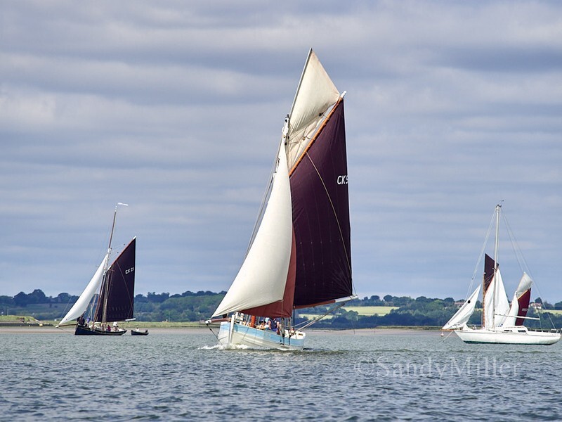 _1017168 - Rowhedge Regatta 2026