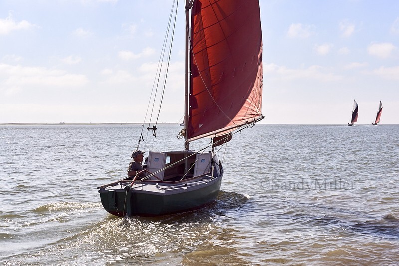 _DSC4393 - Rowhedge Regatta 2018