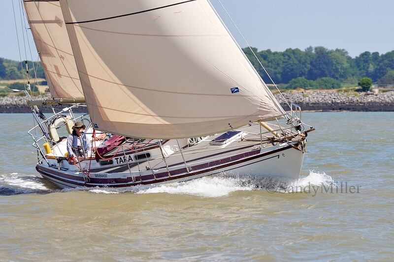_DSC4424 - Rowhedge Regatta 2018
