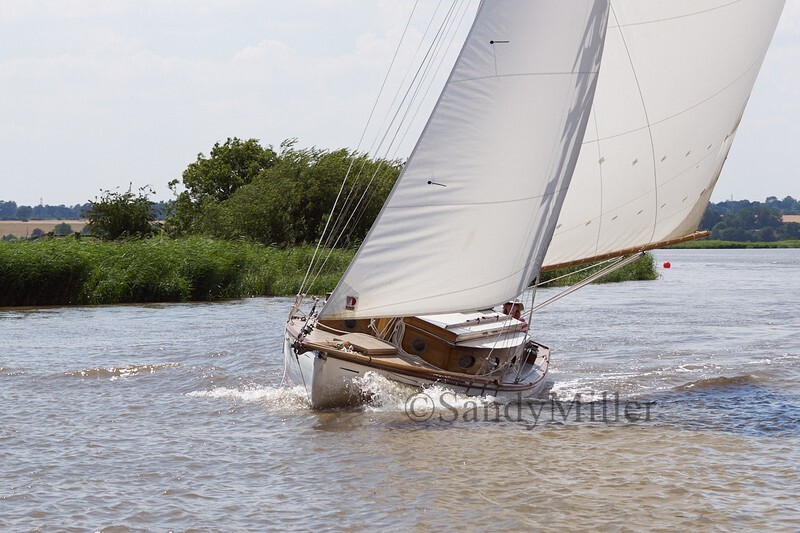 _DSC5662 - YSC Cantley Regatta 2018