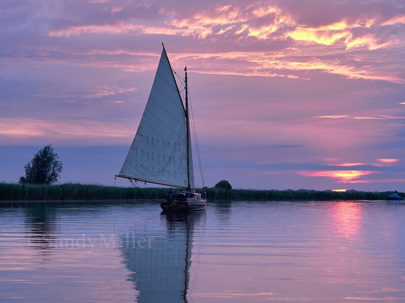 _1016777 - 3 Rivers Race 2026
