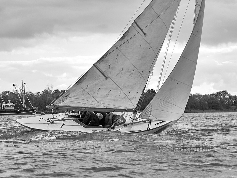 _1014204 - Maldon Regatta 2025