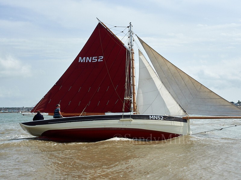 _1010059_1 - Rowhedge Regatta 2025