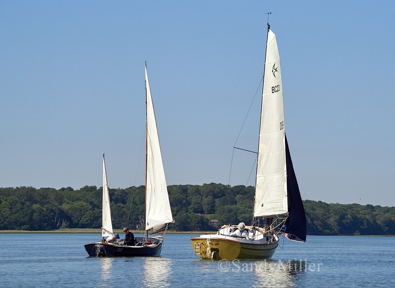 _1019442 - The English Raid Sail-and-Oar Stour and Orwell 2026